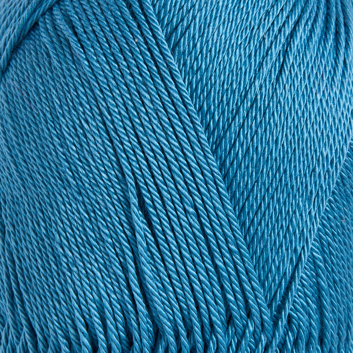 color-Ocean Teal