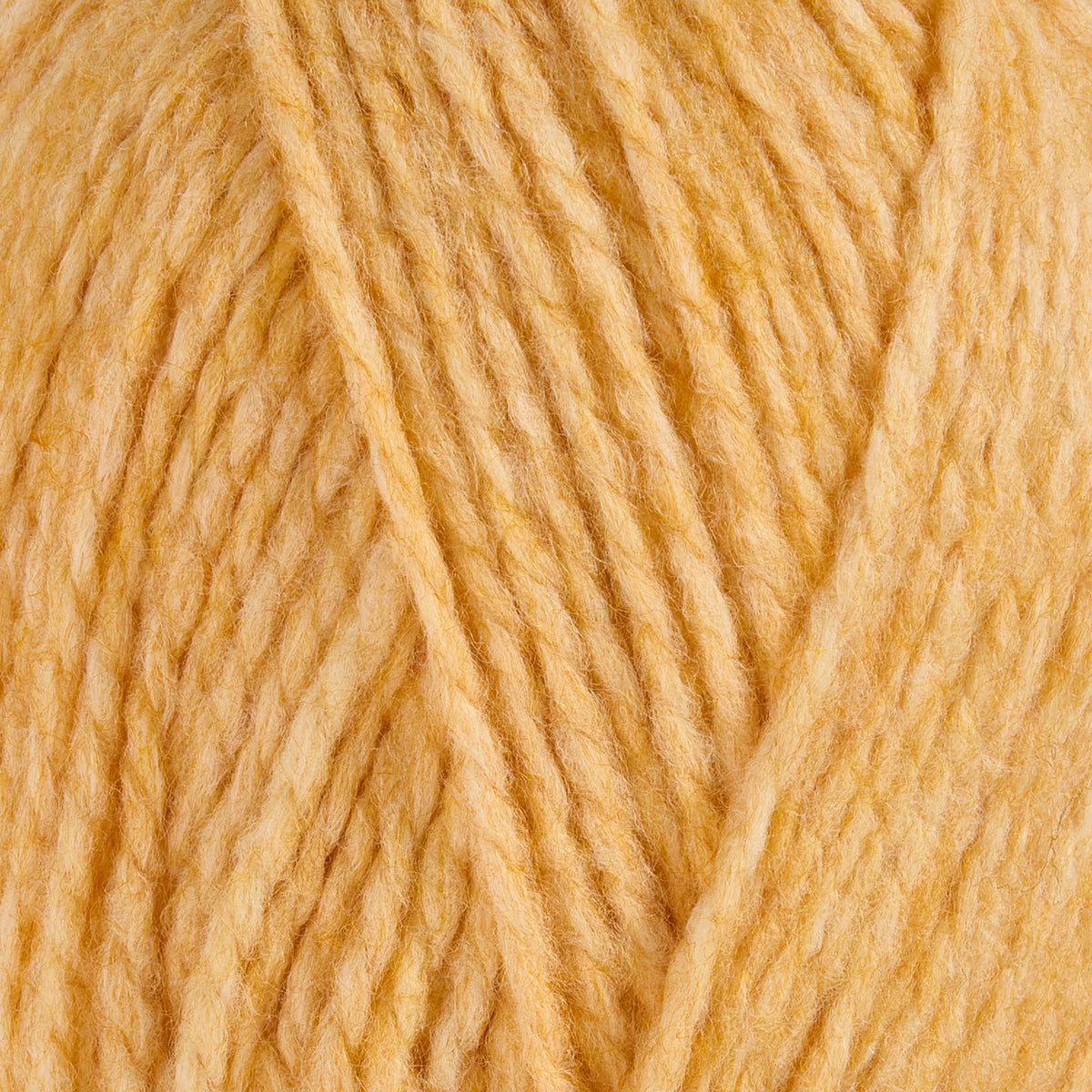 color-Sunflower Honey