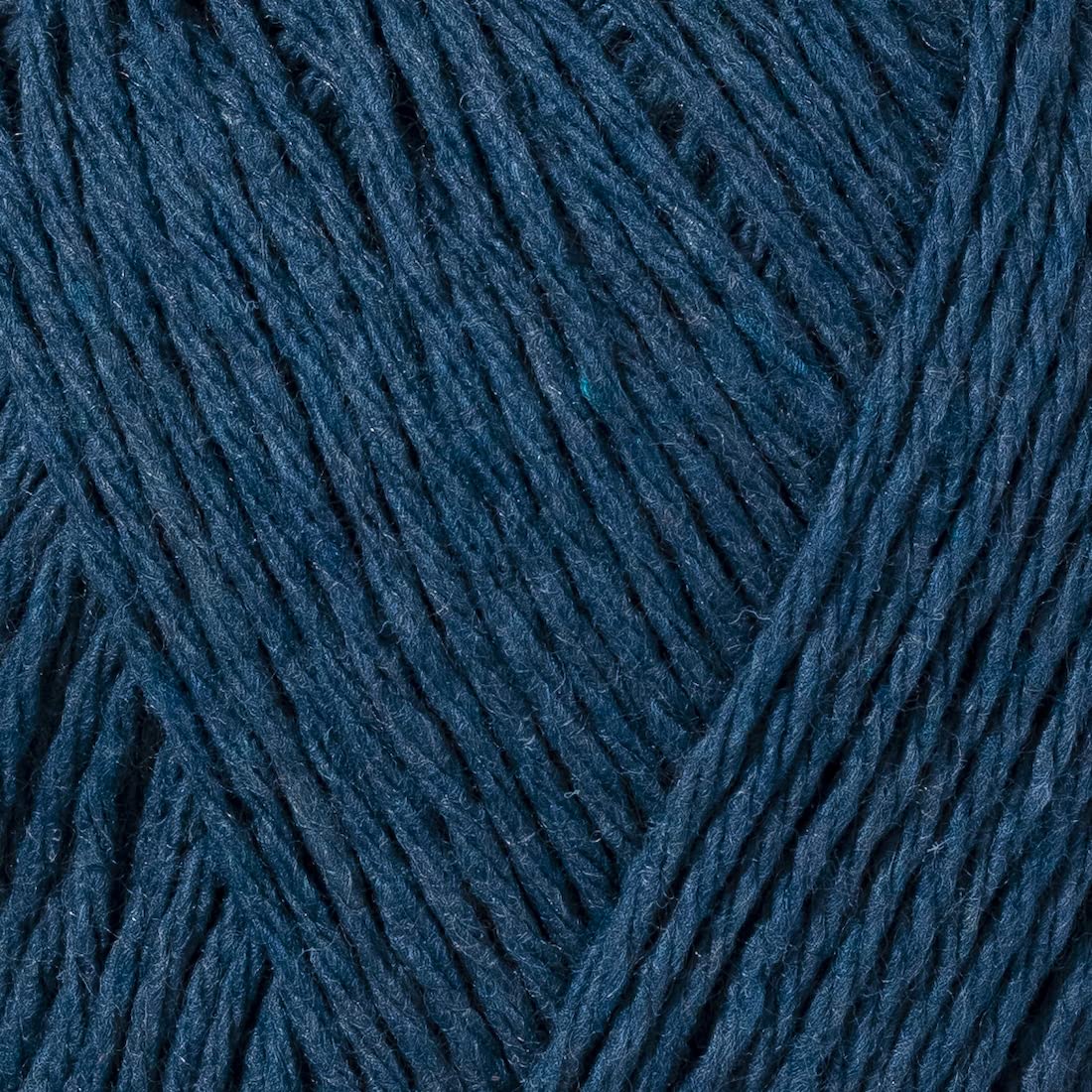 color-Blue Whale