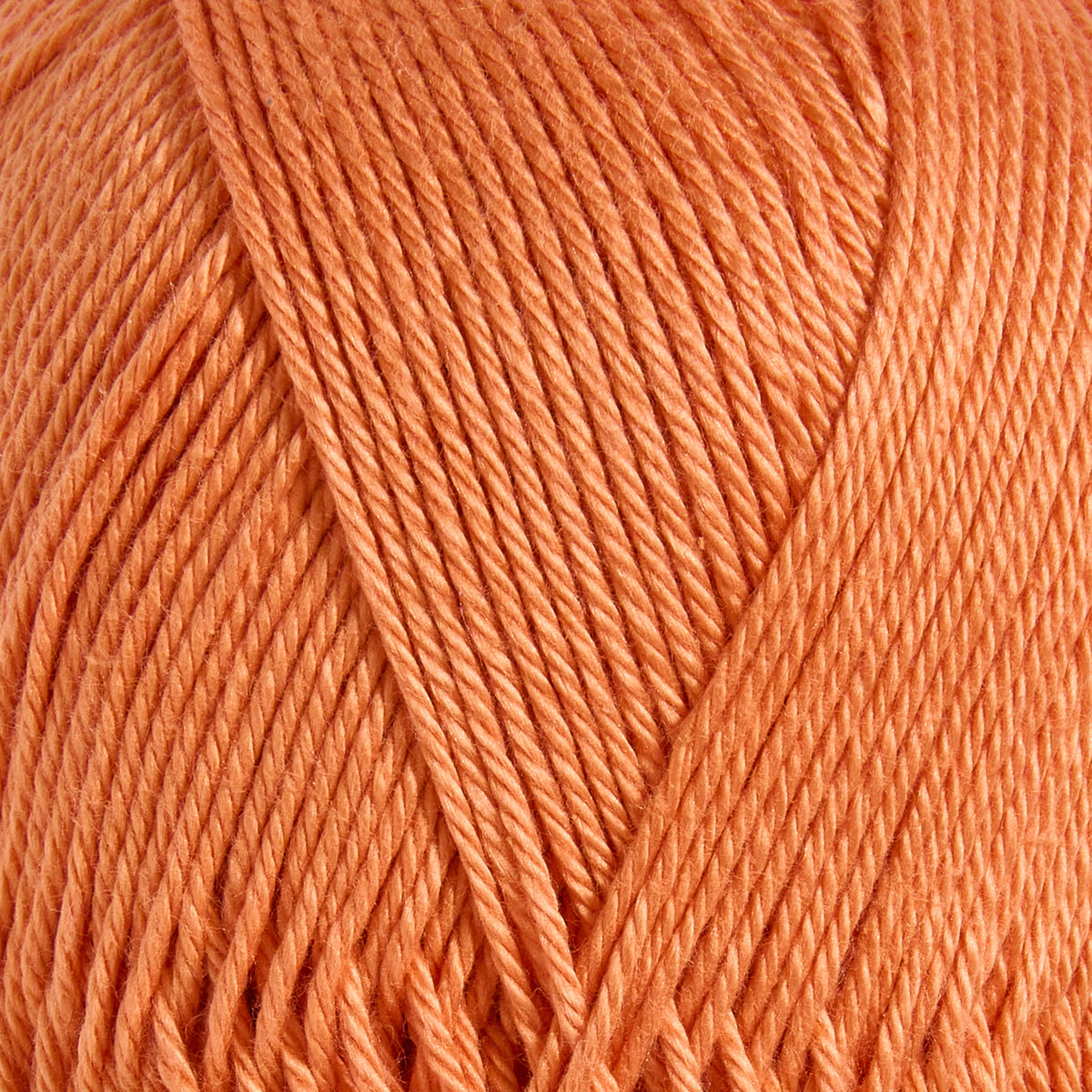 color-Warm Tangerine