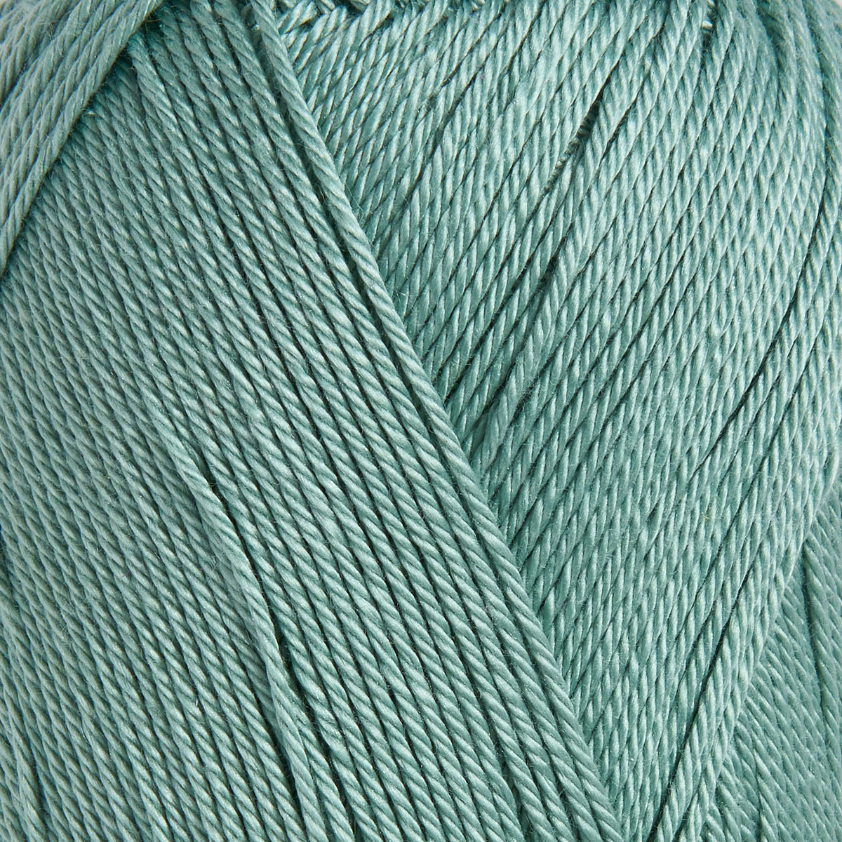 color-Forest Green