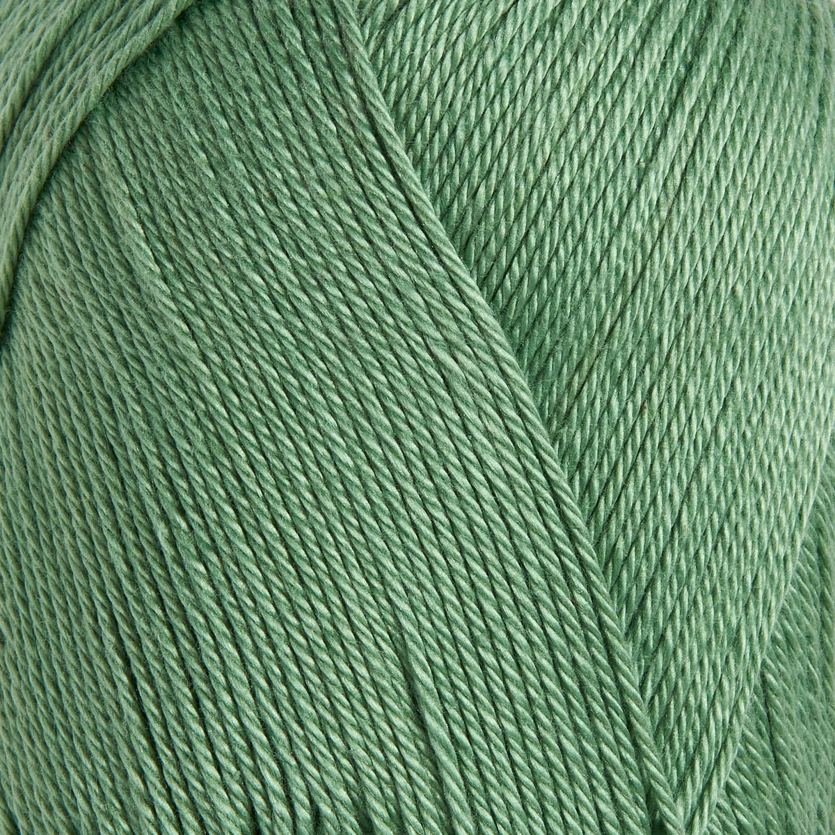 color-Sage Mint