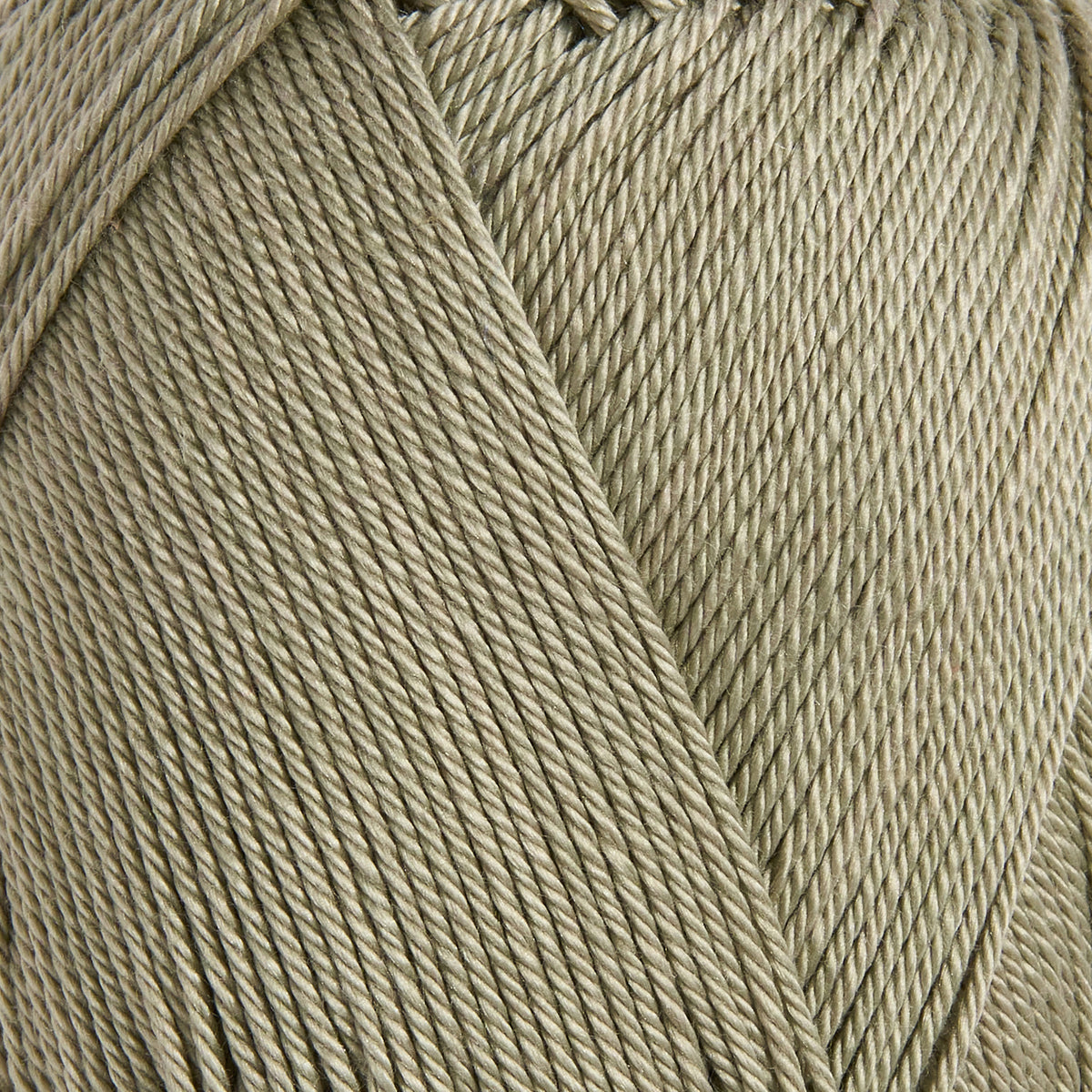color-Light Khaki
