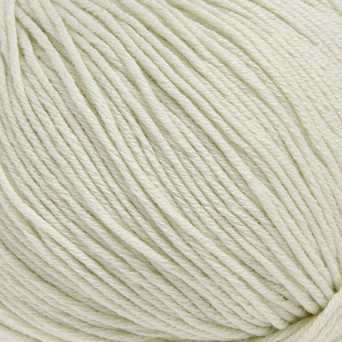 color-Bone