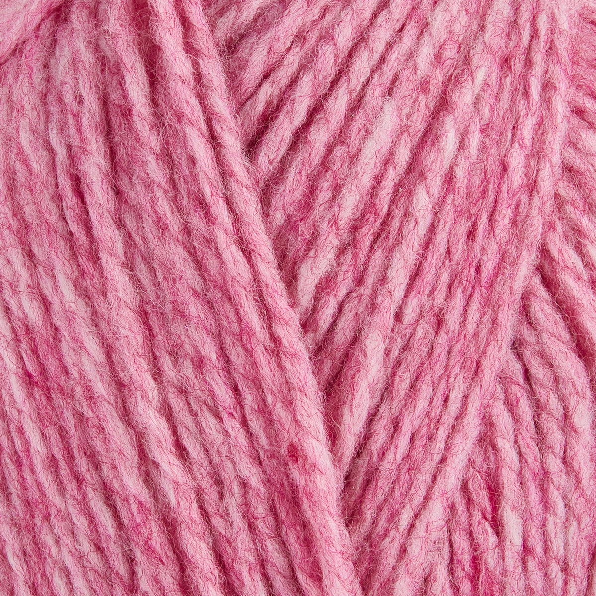 color-Rose Blush