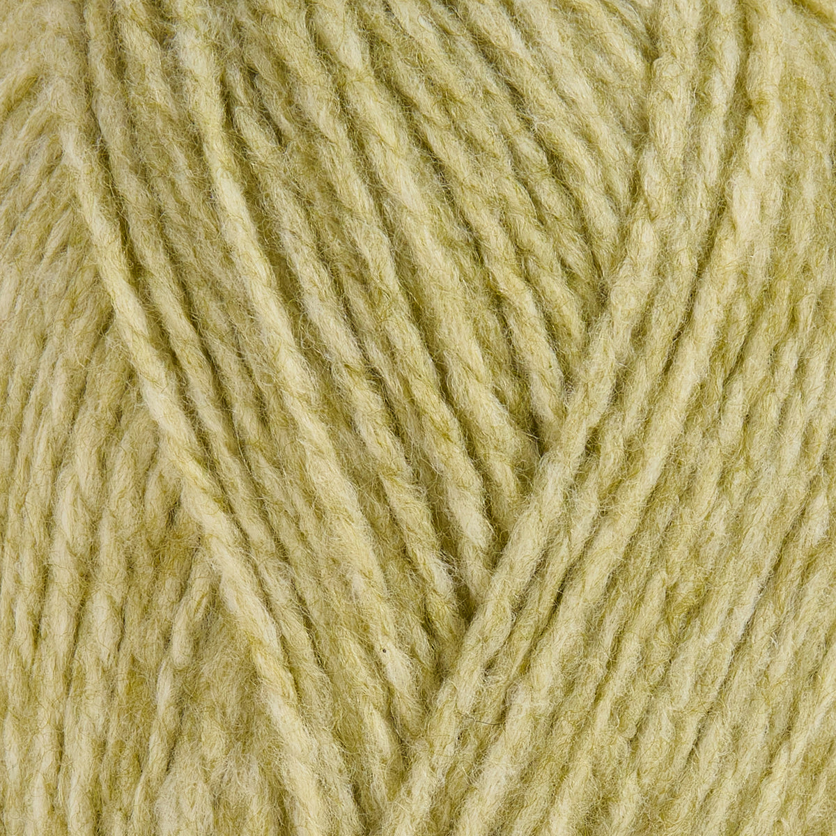 color-Olive Lime
