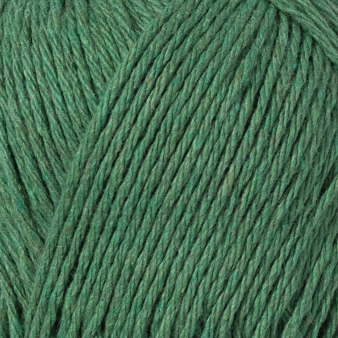 color-Evergreen