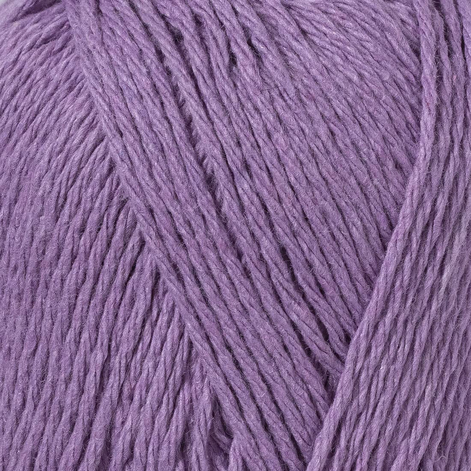 color-Viola Purple