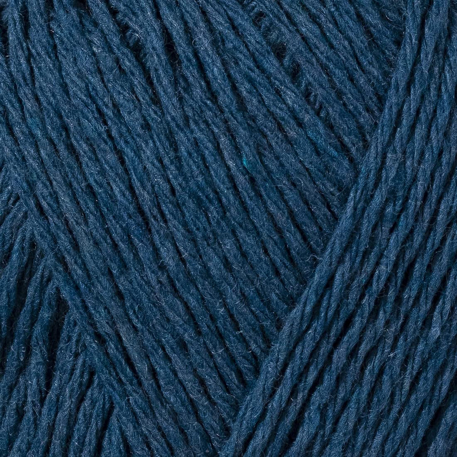 color-Blue Whale