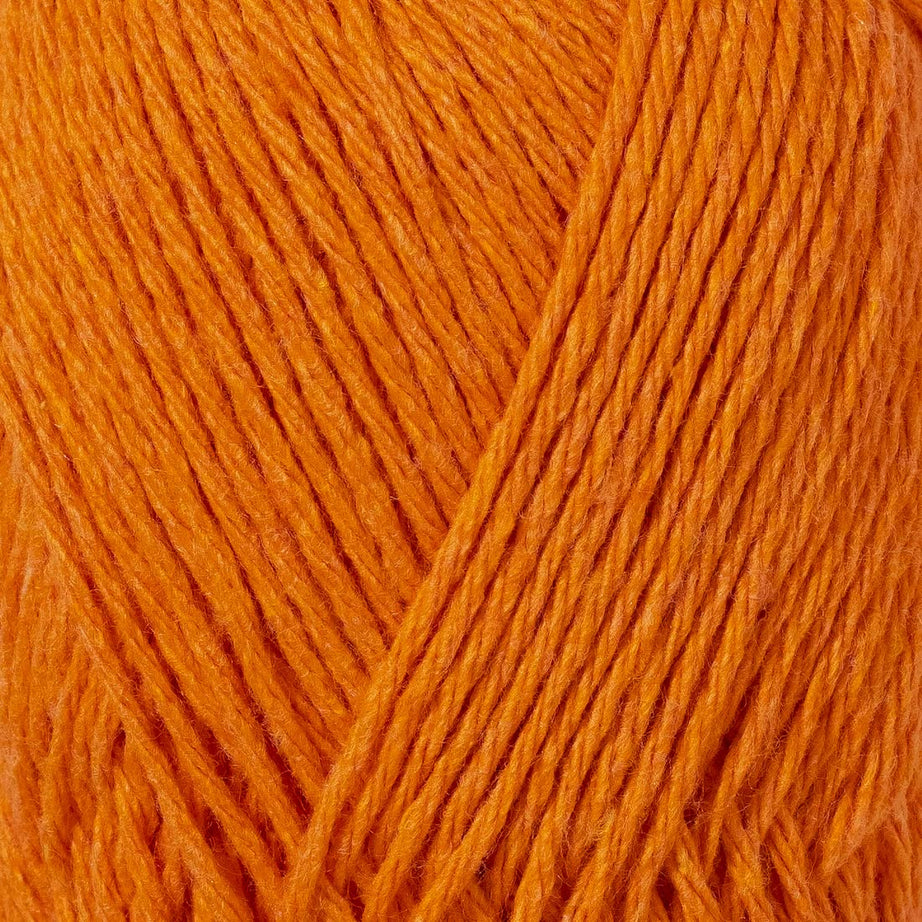 color-Pumpkin Orange