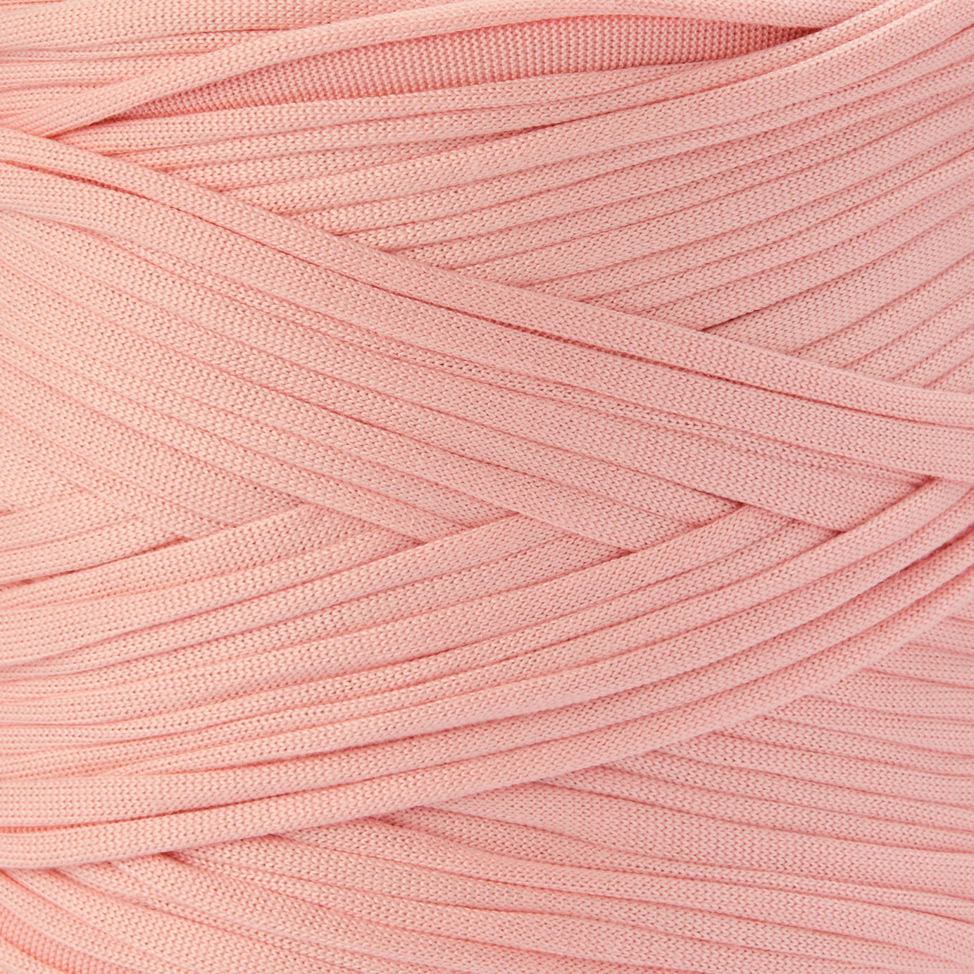 color-Light Rose