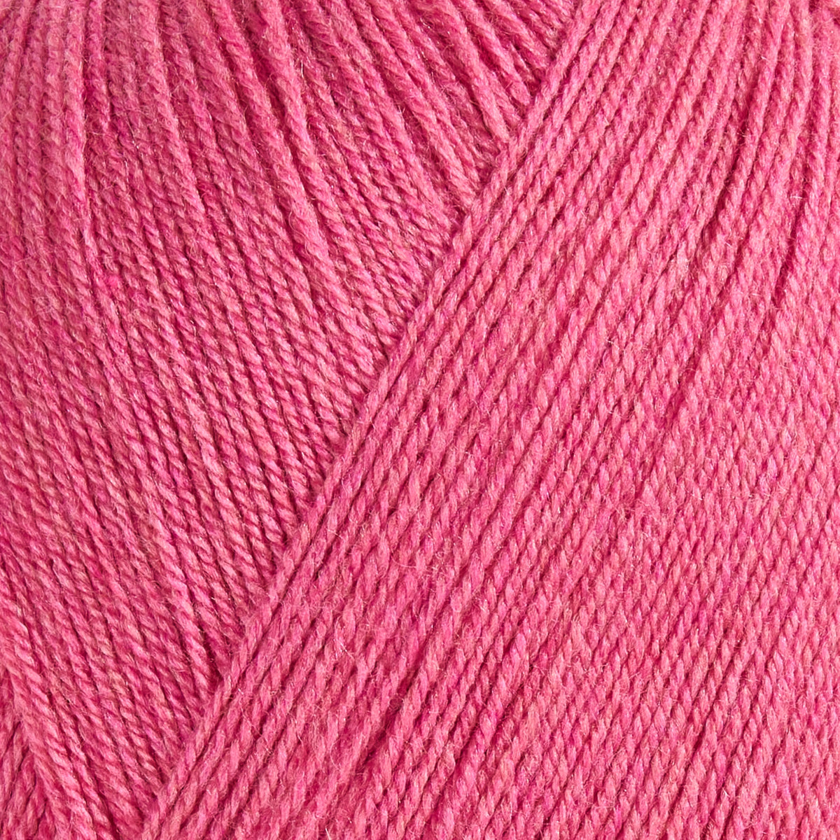 color-rose-pink