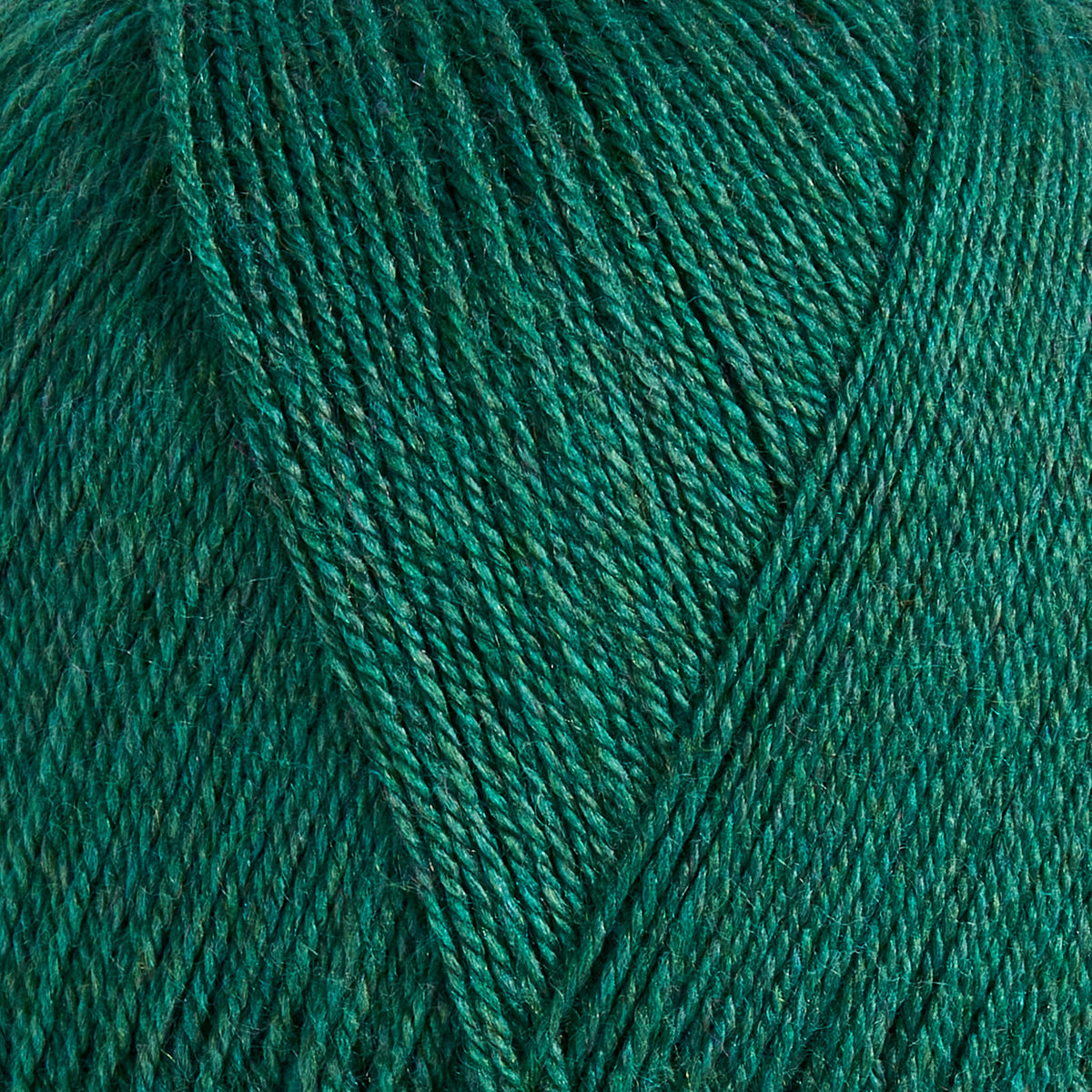 color-deep-teal-green