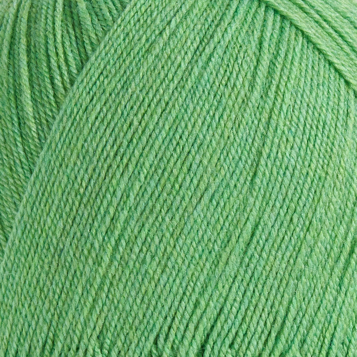 color-leaf-green